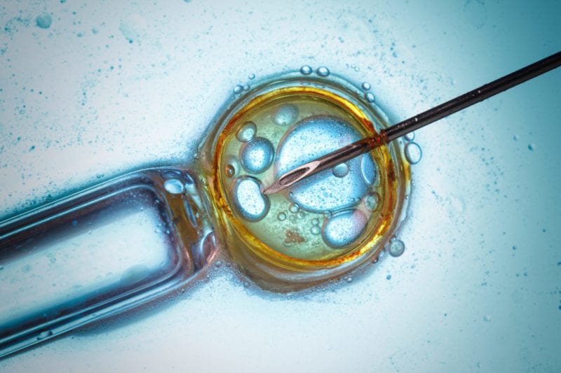 Embryo custody battle