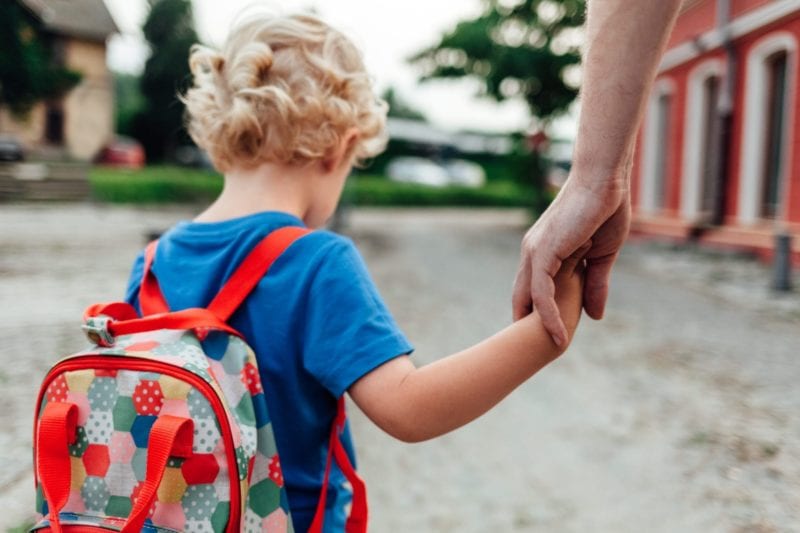 Parent holding hand of young boy walking; parenting plan